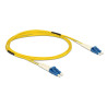 Delock Kabel Lichtwellenleiter LC - LC Singlemode OS2 2 m