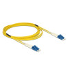 Delock Kabel Lichtwellenleiter LC - LC Singlemode OS2 3 m