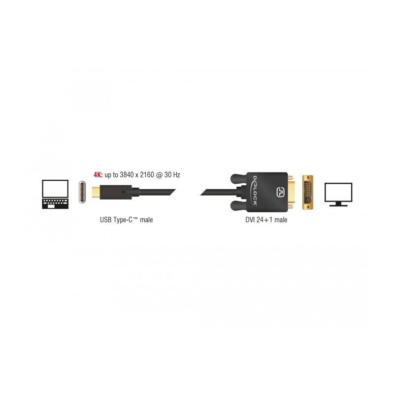 Delock Kabel USB Type-C™ Stecker - DVI 24+1 Stecker (DP Alt Mode) 4K 30 Hz 2 m schwarz