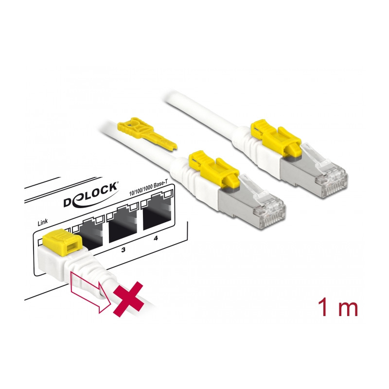 Delock Kabel RJ45 Secure Cat.6A 1 m