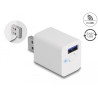 Delock WLAN EASY-USB Smart Schalter MQTT