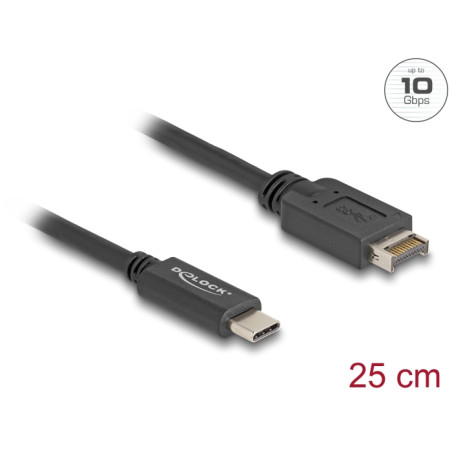 Delock USB 10 Gbps Kabel USB Typ-E Key A 20 Pin Stecker zu USB Type-C™ Stecker 25 cm