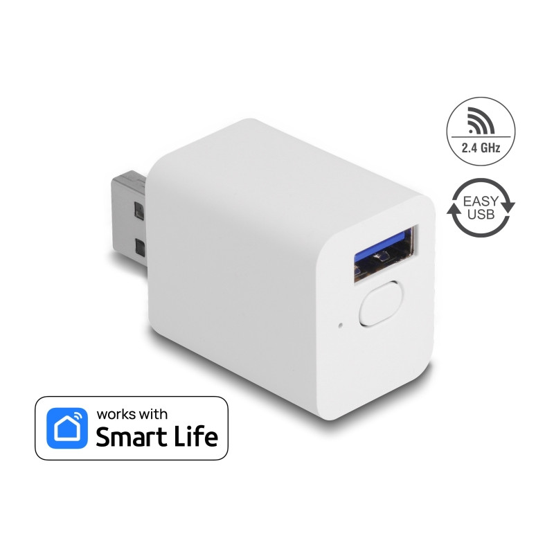Delock WLAN EASY-USB Schalter Smart Life