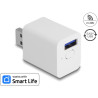 Delock WLAN EASY-USB Schalter Smart Life