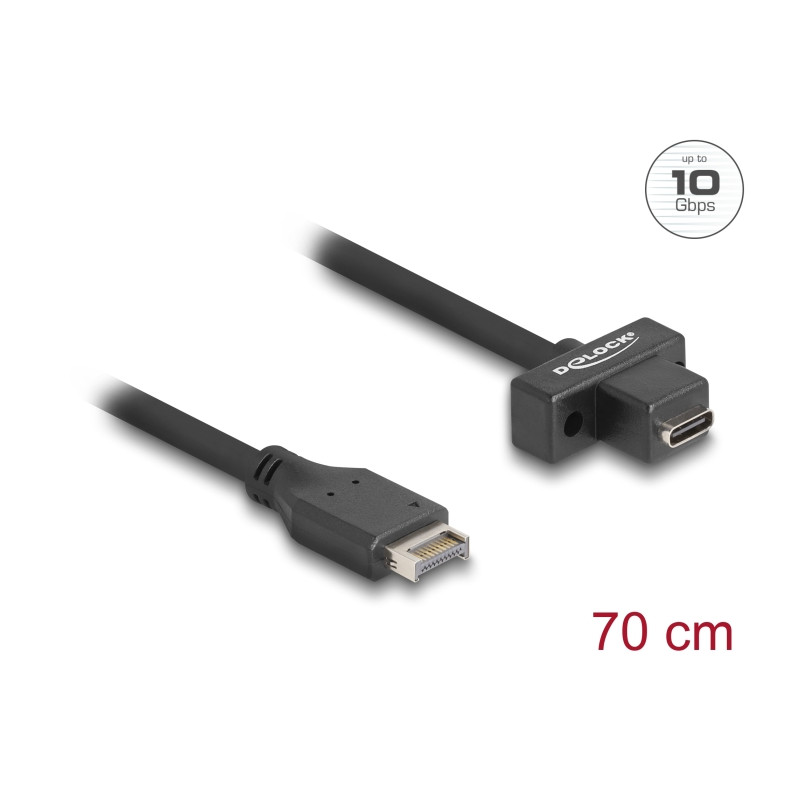 Delock USB 10 Gbps Kabel Typ-E Key A 20 Pin Stecker zu USB Type-C™ Buchse zum Einbau 70 cm