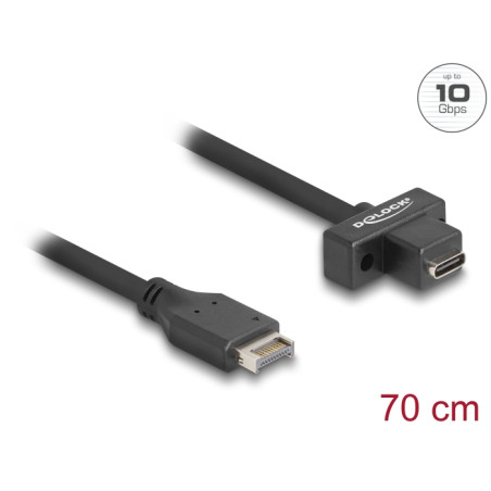 Delock USB 10 Gbps Kabel Typ-E Key A 20 Pin Stecker zu USB Type-C™ Buchse zum Einbau 70 cm