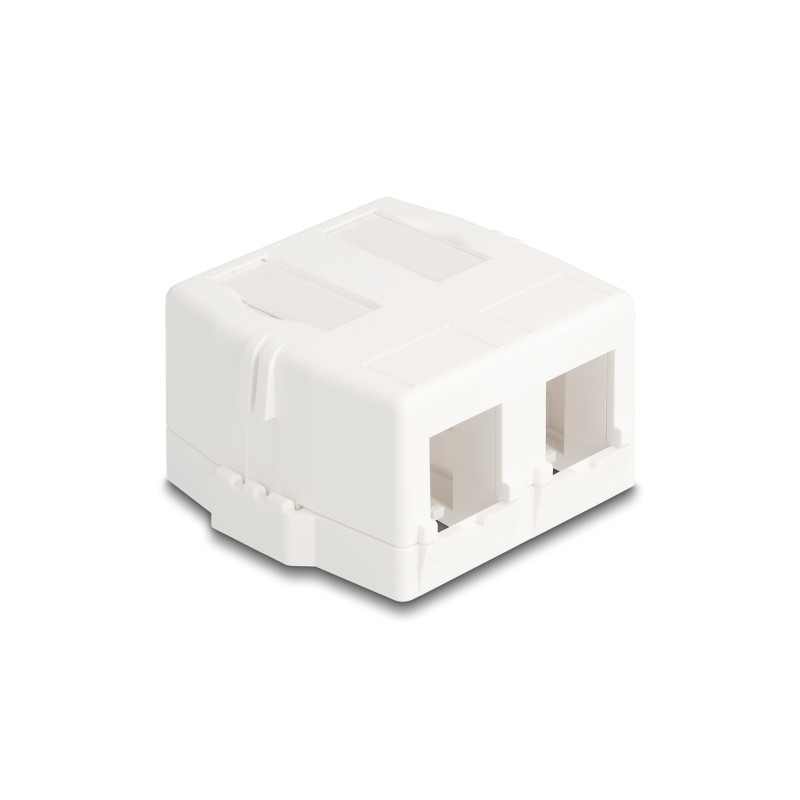 Delock Keystone Leergehäuse 2 Port mit magnetischer Unterseite, weiß