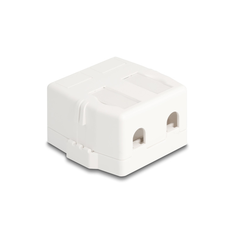 Delock Keystone Leergehäuse 2 Port mit magnetischer Unterseite, weiß