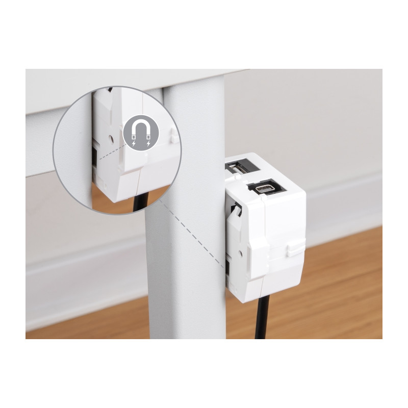 Delock Keystone Leergehäuse 2 Port mit magnetischer Unterseite, weiß