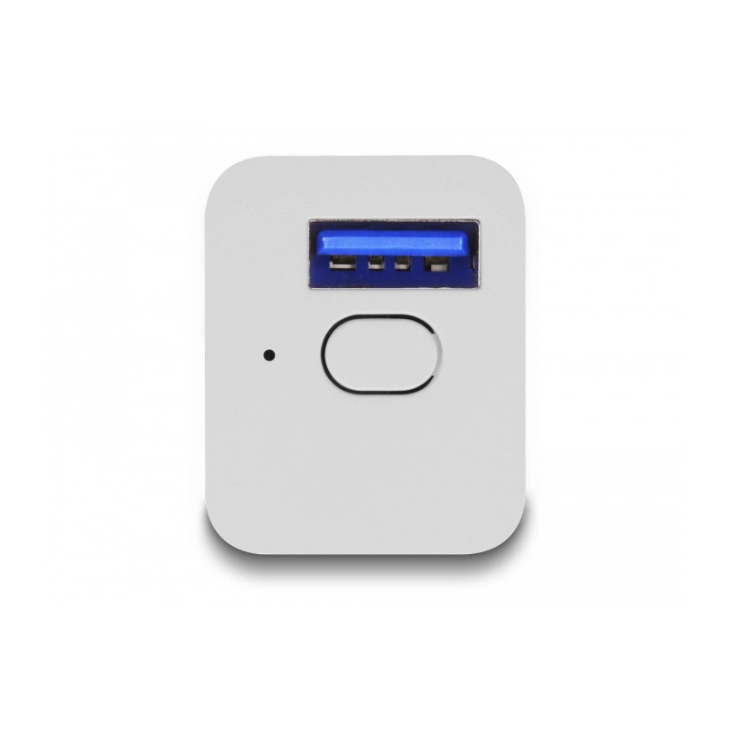 Delock WLAN EASY-USB Schalter Smart Life