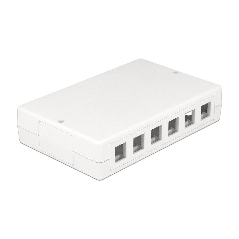 Delock Keystone Leergehäuse 12 Port
