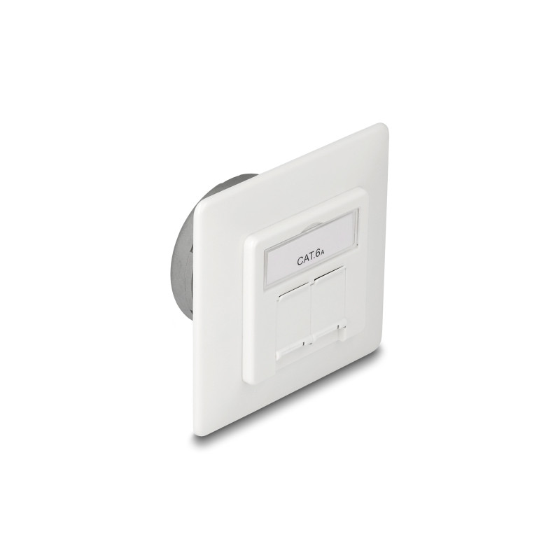 Delock Netzwerk Anschlussdose Unterputz 2 Port RJ45 Cat.6A LSA