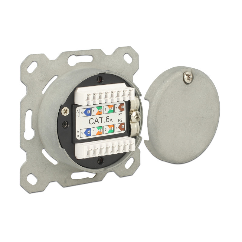 Delock Netzwerk Anschlussdose Unterputz 2 Port RJ45 Cat.6A LSA