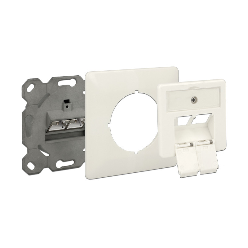 Delock Netzwerk Anschlussdose Unterputz 2 Port RJ45 Cat.6A LSA