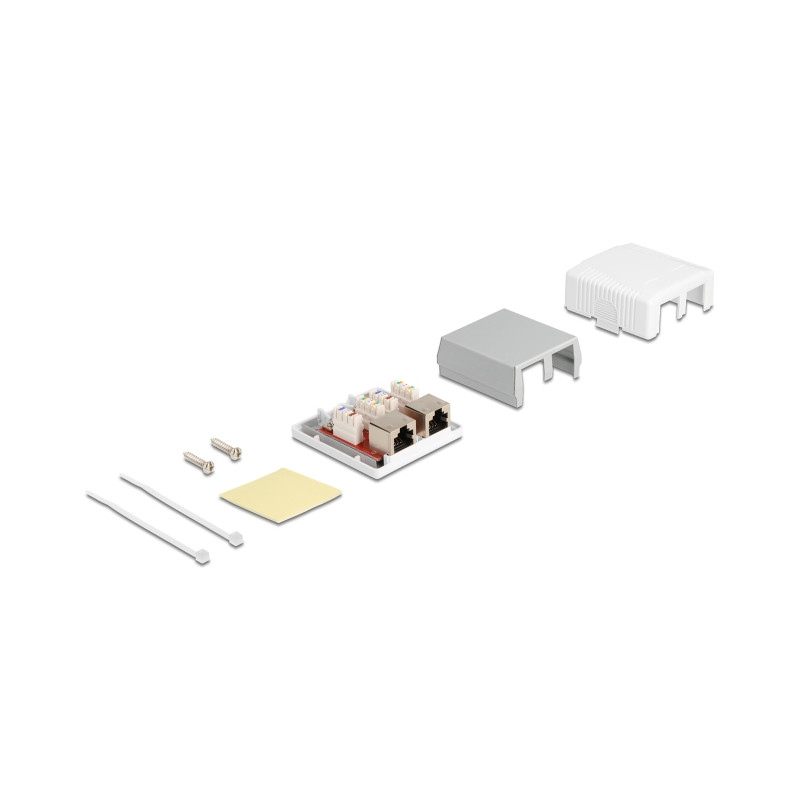 Delock Netzwerk Anschlussdose 2 Port Cat.6A LSA