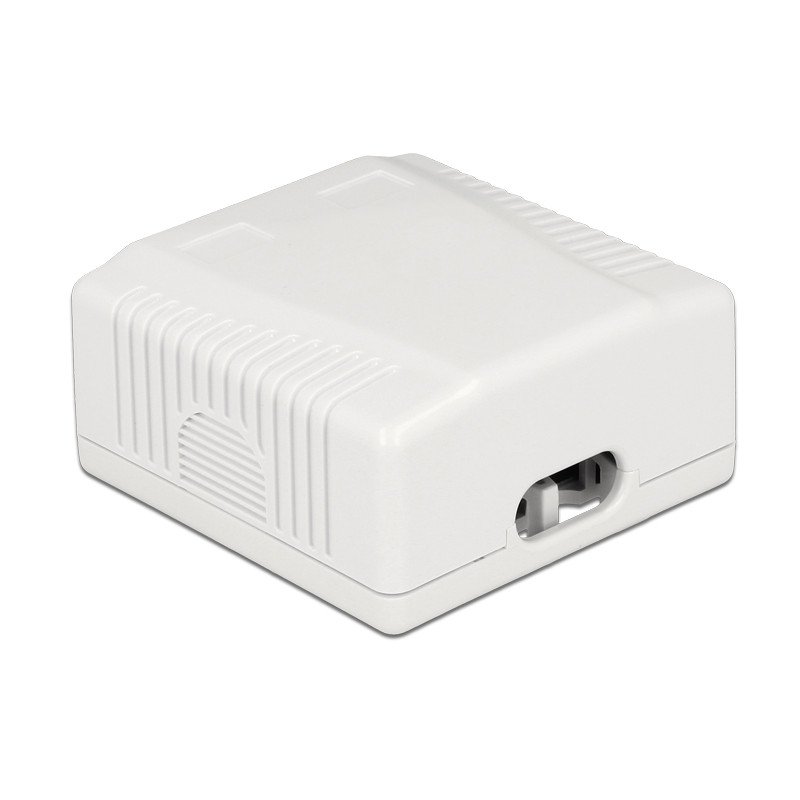 Delock Netzwerk Anschlussdose 2 Port Cat.6A LSA