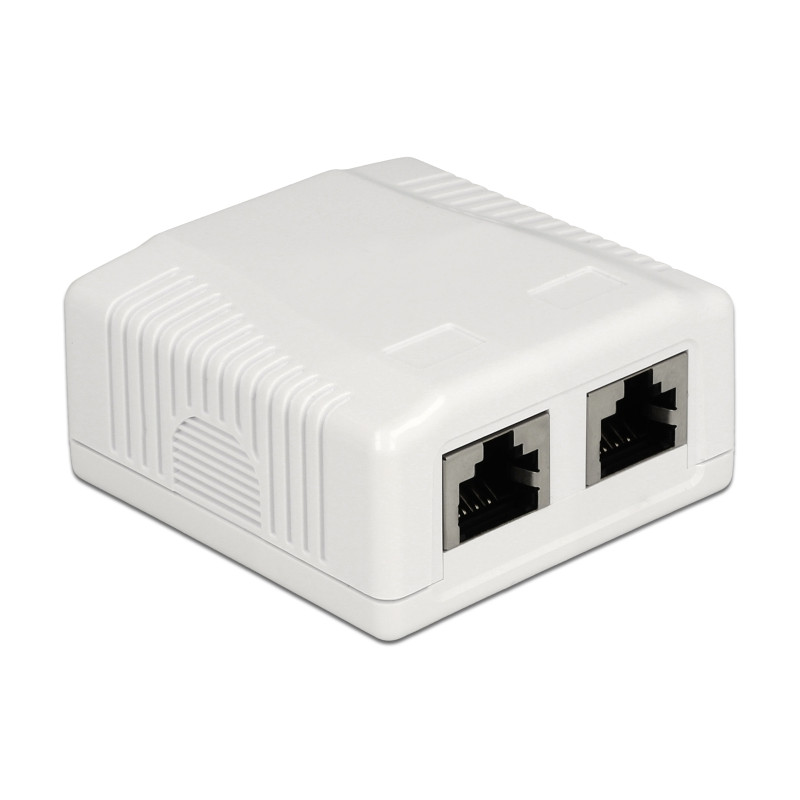 Delock Netzwerk Anschlussdose 2 Port Cat.6A LSA