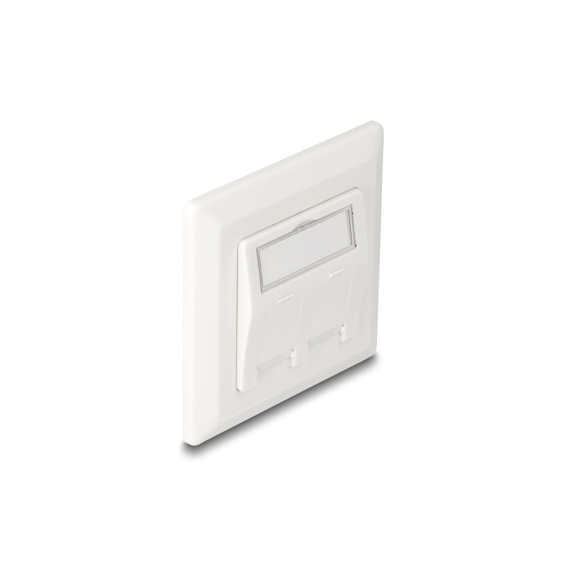 Delock Keystone Anschlussdose 2 Port