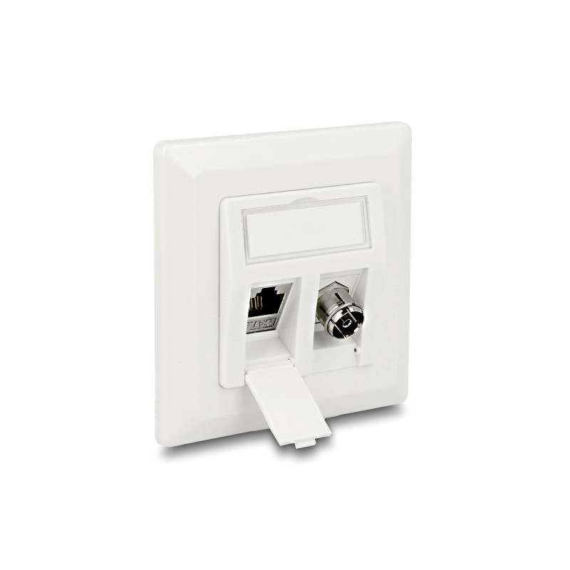 Delock Keystone Anschlussdose 2 Port