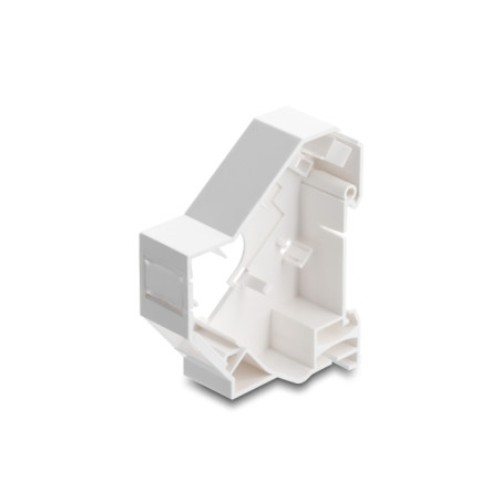 Delock Keystone Halterung für Hutschienen