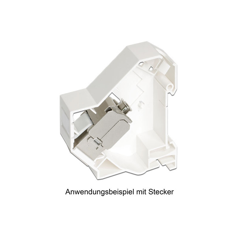 Delock Keystone Halterung für Hutschienen