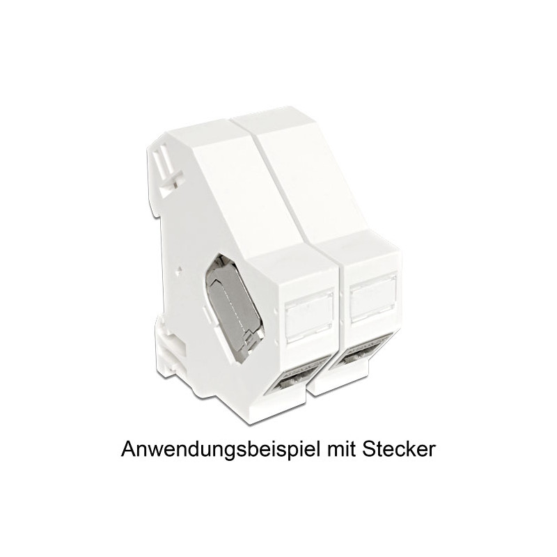 Delock Keystone Halterung für Hutschienen