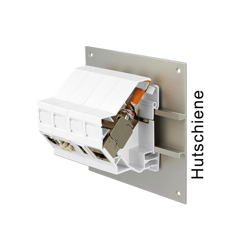 Delock Keystone Halterung für Hutschienen