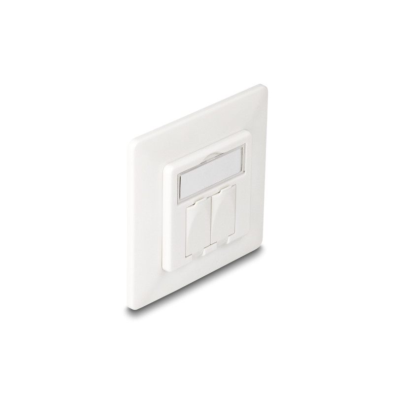 Delock Keystone Anschlussdose 2 Port kompakt