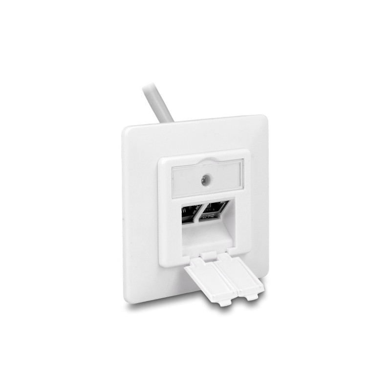 Delock Keystone Anschlussdose 2 Port kompakt