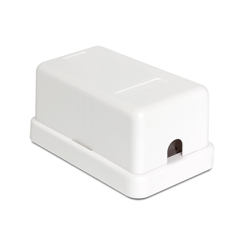 Delock Keystone Leergehäuse 1 Port