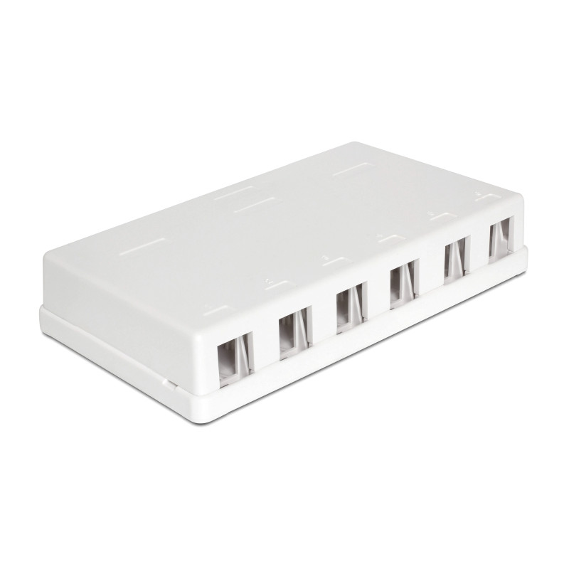 Delock Keystone Leergehäuse 6 Port