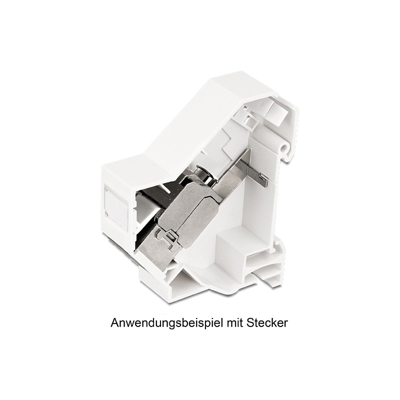Delock Keystone Halterung für Hutschienen mit Erdung