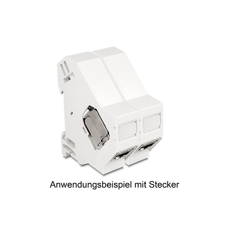 Delock Keystone Halterung für Hutschienen mit Erdung