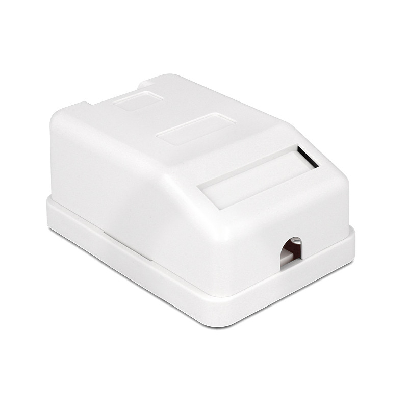 Delock Keystone Leergehäuse 1 Port mit Staubschutz