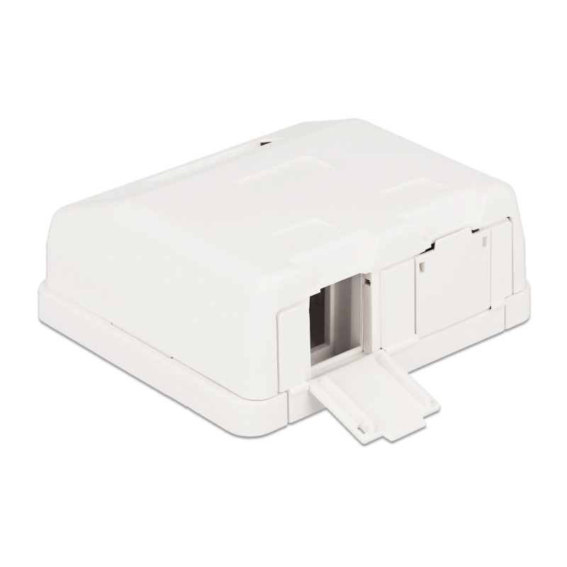 Delock Keystone Leergehäuse 2 Port mit Staubschutz