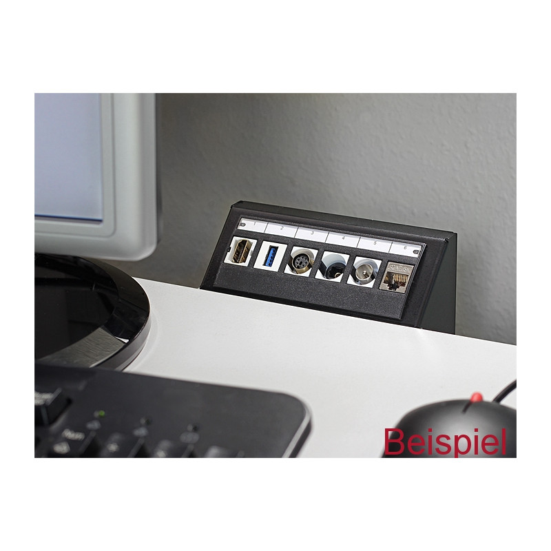 Delock Keystone Multimedia Panel 6 Port schwarz
