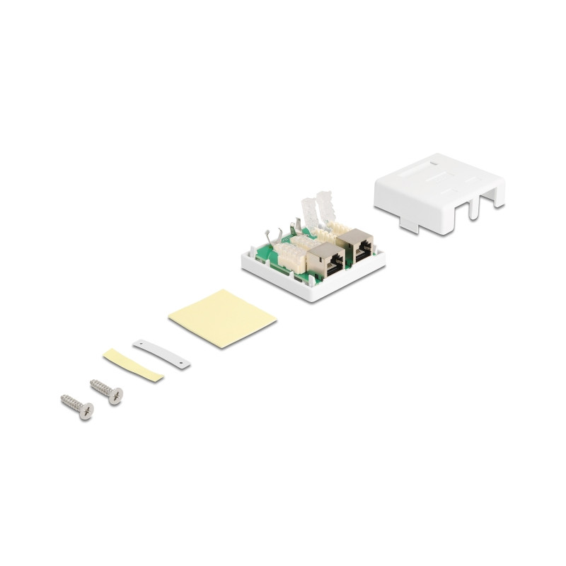 Delock Netzwerk Anschlussdose 2 Port Cat.6