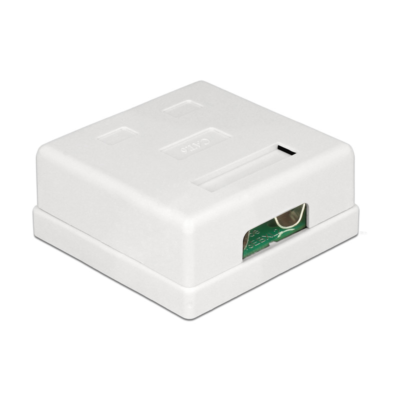 Delock Netzwerk Anschlussdose 2 Port Cat.6