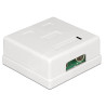Delock Netzwerk Anschlussdose 2 Port Cat.6