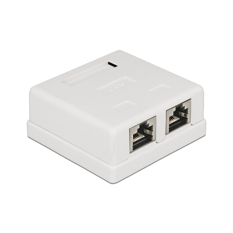 Delock Netzwerk Anschlussdose 2 Port Cat.6