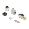 Delock RJ45 Stecker feldkonfektionierbar Cat.6A Metall gewinkelt