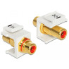 Delock Keystone Modul Cinch Buchse - Cinch Buchse vergoldet rot / weiß