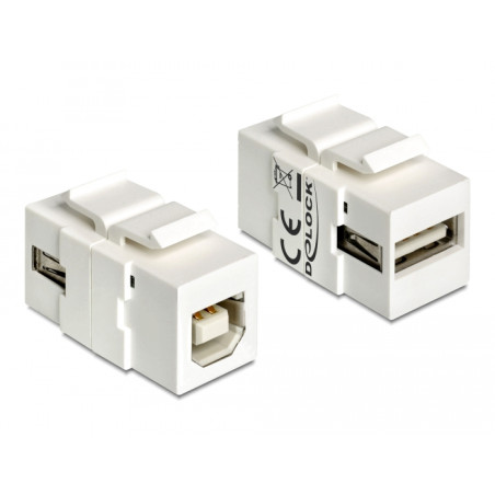 Delock Keystone Modul USB 2.0 A Buchse - USB 2.0 B Buchse weiß