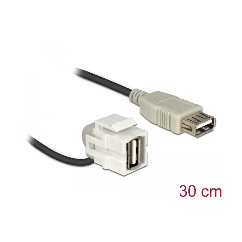 Delock Keystone Modul USB 2.0 A Buchse 110° - USB 2.0 A Buchse mit Kabel weiß