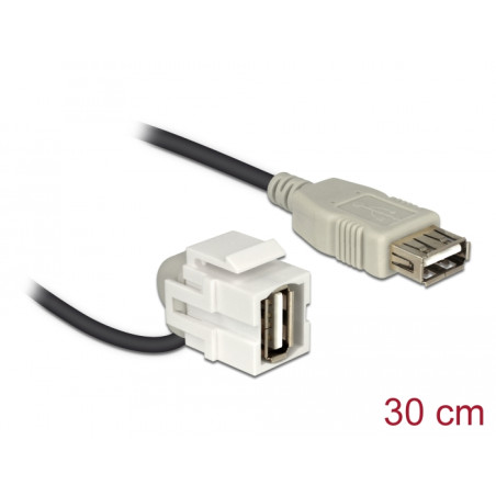 Delock Keystone Modul USB 2.0 A Buchse 110° - USB 2.0 A Buchse mit Kabel weiß