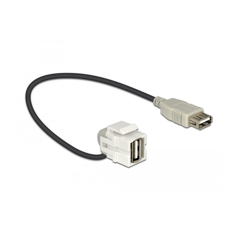Delock Keystone Modul USB 2.0 A Buchse 110° - USB 2.0 A Buchse mit Kabel weiß