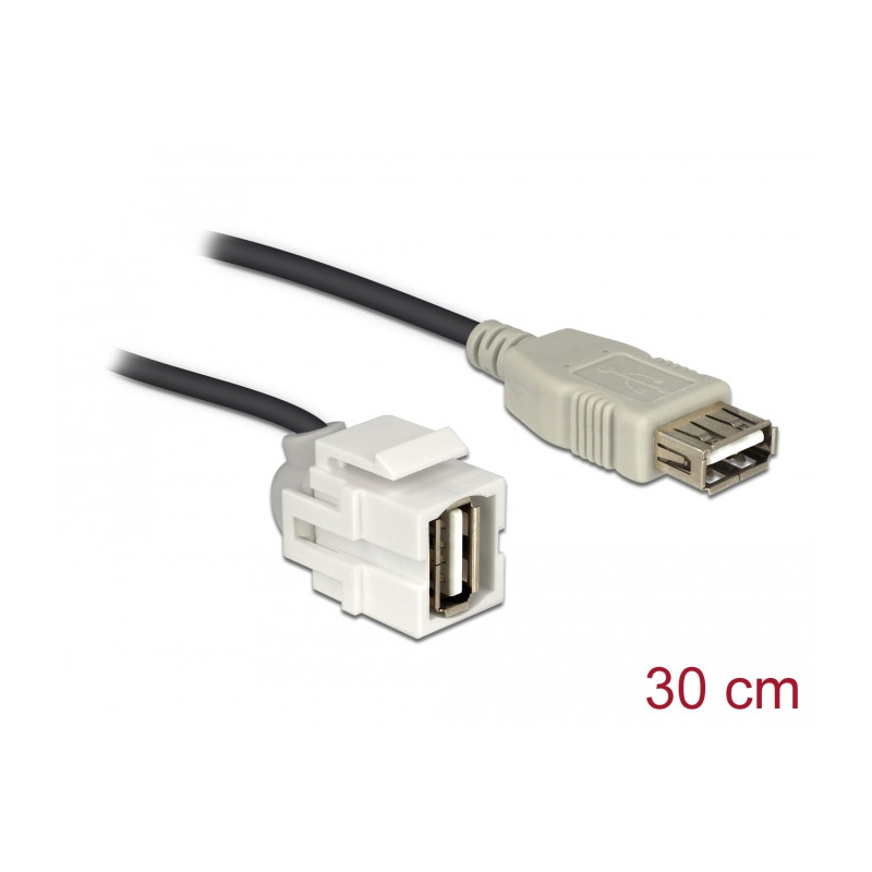 Delock Keystone Modul USB 2.0 A Buchse 250° - USB 2.0 A Buchse mit Kabel weiß