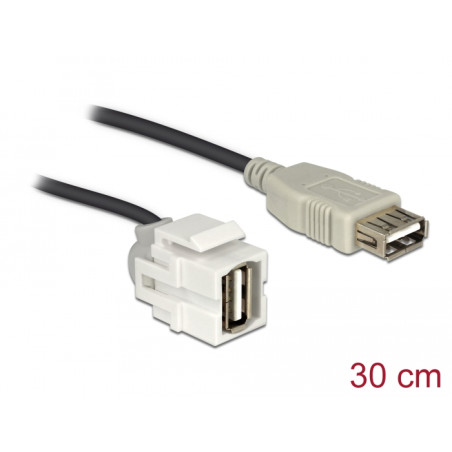 Delock Keystone Modul USB 2.0 A Buchse 250° - USB 2.0 A Buchse mit Kabel weiß