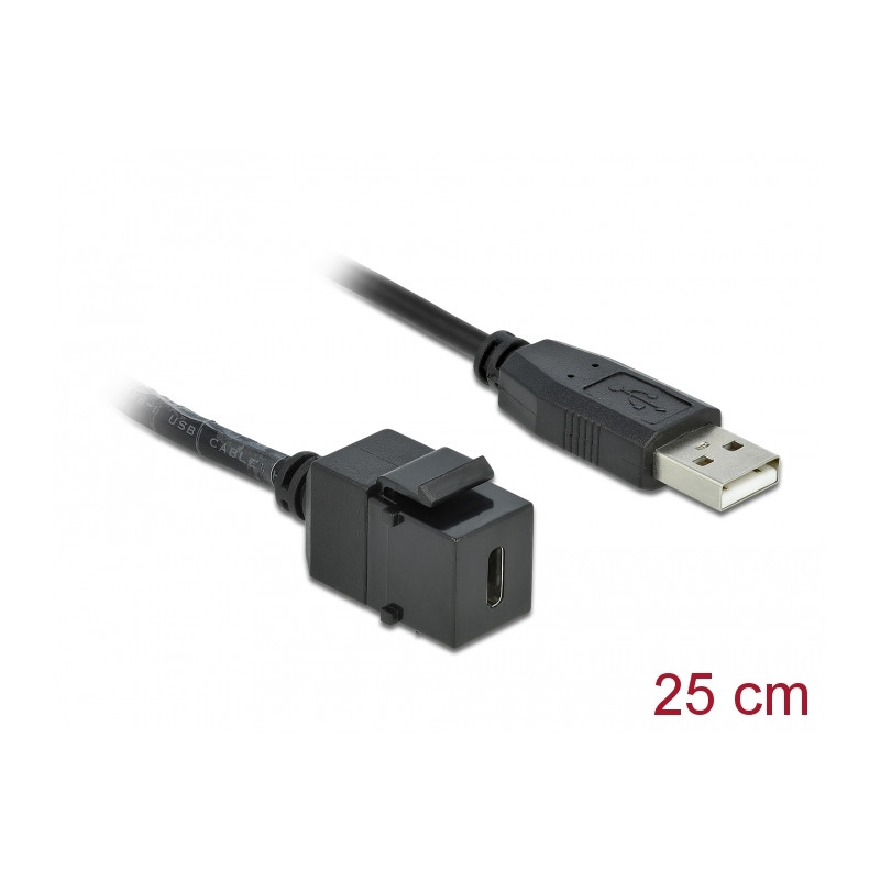 Delock Keystone Modul USB 2.0 C Buchse - USB 2.0 A Stecker mit Kabel