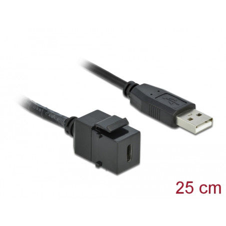 Delock Keystone Modul USB 2.0 C Buchse - USB 2.0 A Stecker mit Kabel